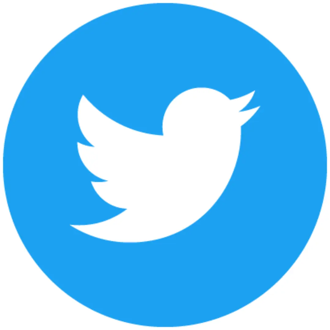 a blue and white twitter logo which is used for Digital Marketing Services